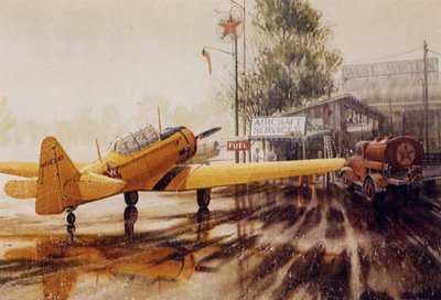 T-6 Texan Airplane Art Print