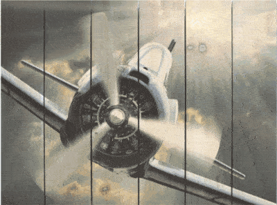 3-Blade Propeller Airplane Indoor Outdoor Art - Large