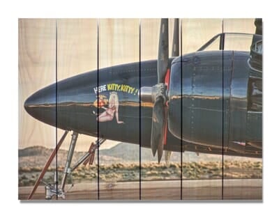 F7F Tigercat Indoor Outdoor Art - Large