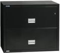 Fire & Water Rated 2-Drawer Lateral File Cabinet (28.8 x 31 x 23.6)
