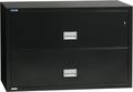 Fire & Water Rated 2-Drawer Lateral File Cabinet (28.8 x 38 x 23.6)