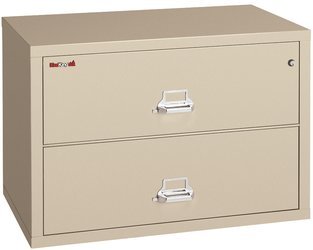 Fire & Water Rated 2-Drawer Lateral File Cabinet (27.8 x 44.5 x 22.1)