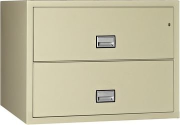 Fire & Water Rated 2-Drawer Lateral File Cabinet (28.8 x 44 x 23.6)