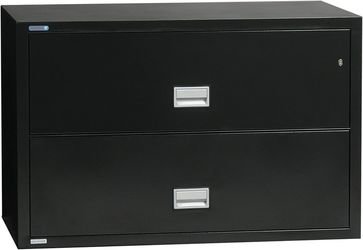Fire & Water Rated 2-Drawer Lateral File Cabinet (28.8 x 38 x 23.6)