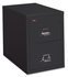 Fire/Water Rated 2-Drawer Letter Size File Cab. (27.8 x 17.8 x 31.6)