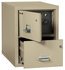 Safe Hidden In A Fire/Water Rated 2-Drawer File Cabinet