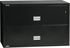 Fire & Water Rated 2-Drawer Lateral File Cabinet (28.8 x 44 x 23.6)