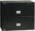 Fire & Water Rated 2-Drawer Lateral File Cabinet (28.8 x 31 x 23.6)
