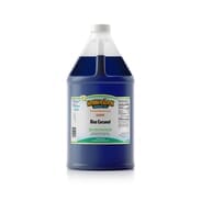 Gallon - Blue Coconut Shaved Ice Syrup