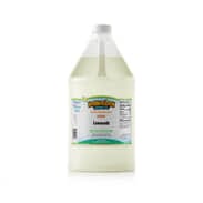 Gallon - Lemonade Shaved Ice Syrup