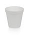 16 oz Foam Squat Cups - Case of 500