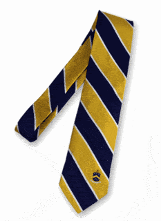 Pi Kappa Phi Executive Fraternity Neckties - Half Off