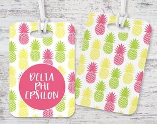 Delta Phi Epsilon DPHIE Bright Stripes Luggage Tag