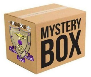 Sigma Alpha Mu Surprise Box