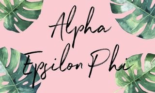Alpha Epsilon Phi Tropical Flag