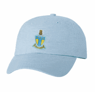 DISCOUNT-Alpha Tau Omega Crest - Shield Hat