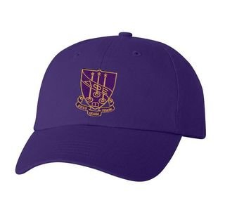 DISCOUNT-Delta Phi Epsilon Crest - Shield Hat