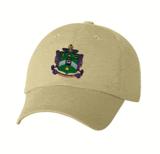 DISCOUNT-Delta Sigma Phi Crest - Shield Hat