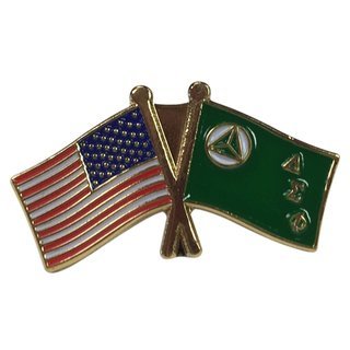 Delta Sigma Phi USA Flag Lapel Pin