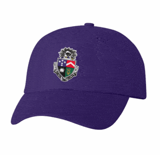 DISCOUNT-Delta Tau Delta Crest - Shield Hat