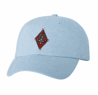 DISCOUNT-Pi Beta Phi Crest - Shield Hat