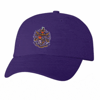 DISCOUNT-Sigma Alpha Epsilon Crest - Shield Hat
