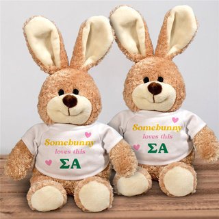 Sigma Alpha Somebunny Loves Me Stuffed Bunny