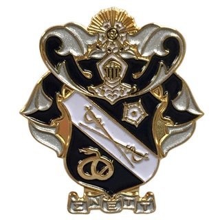Sigma Nu Color Crest - Shield Pins
