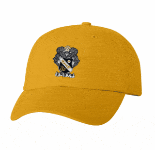 DISCOUNT-Sigma Nu Crest - Shield Hat