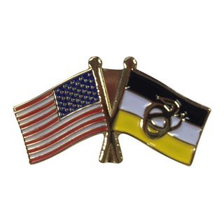 Sigma Nu USA Flag Lapel Pin