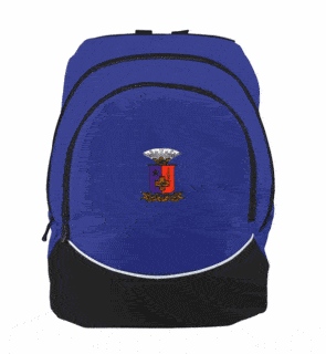 DISCOUNT-Sigma Phi Epsilon Backpack