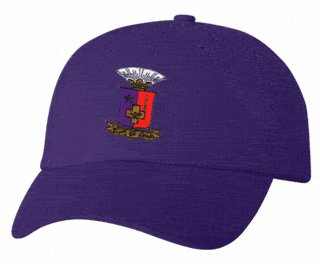 DISCOUNT-Sigma Phi Epsilon Crest - Shield Hat