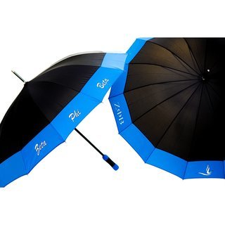 Zeta Phi Beta Classy 14 Panel Umbrella