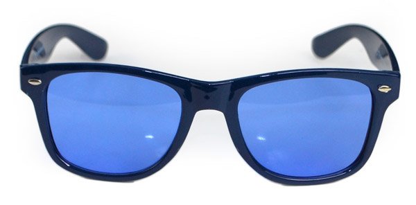 Delta Gamma Sunglasses
