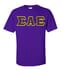 sigma alpha epsilon t shirts