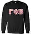 vintage gamma phi beta sweatshirt