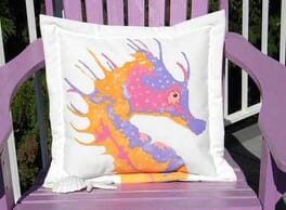 Hand Painted Pillows