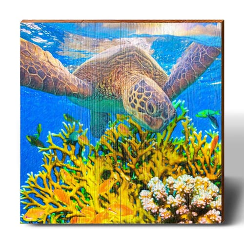 Sea Turtle & Coral Beach Wall Art for sale - Cottage ...
