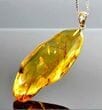 Amber Amulet Made of Tall Natural Shape Honey Color Amber Rock