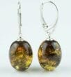 Green Amber Earrings Made of Large Olive Shape Baltic Amber 