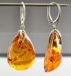 Large Amber Teardrop Earrings Made of Dark Cognac Amber