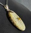 Meteorite Amber Pendant Carved Marble Baltic Amber - SOLD OUT