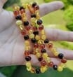 2 Matching Four Color Amber Necklaces for Mom and Child