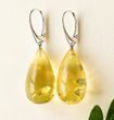 Amber Earrings Made of Golden Color Baltic Amber