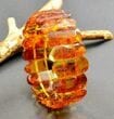 Amber Bracelet Made of Dark Cognac Color Amber 