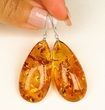 Large Teardrop Amber Earrings Made of Light Cognac Amber