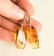 Amber Rectangle Earrings Made of Honey Amber With Bits of Flora