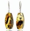 Amber Rectangle Earrings Made of Amber With Bits of Flora