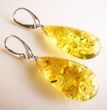 Large Amber Earrings Made of Golden Color Baltic Amber