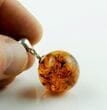Amber Pendant Made of Made of Light Cognac Baltic Amber